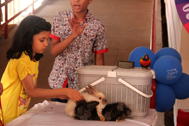 A pet show was organised in the children's corner, where kids could pet animals such as snakes and rabbits. PHOTO: AYESHA MIR/EXPRESS