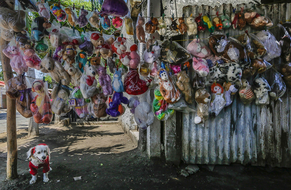 A dog remains below hanging dolls on sale outside a shop during festivities of San Lazaro (Saint Lazarus), at Monimbo neighbourhood in Masaya, some 35 km south of Managua. PHOTO: AFP