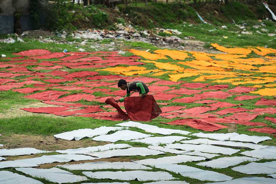 A Bangladeshi worker dries pieces of processed leather at a tannery in Dhaka. PHOTO: AFP