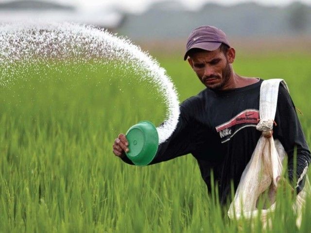 Fatima Fertilizer posts Rs1.91b profit - The Express Tribune