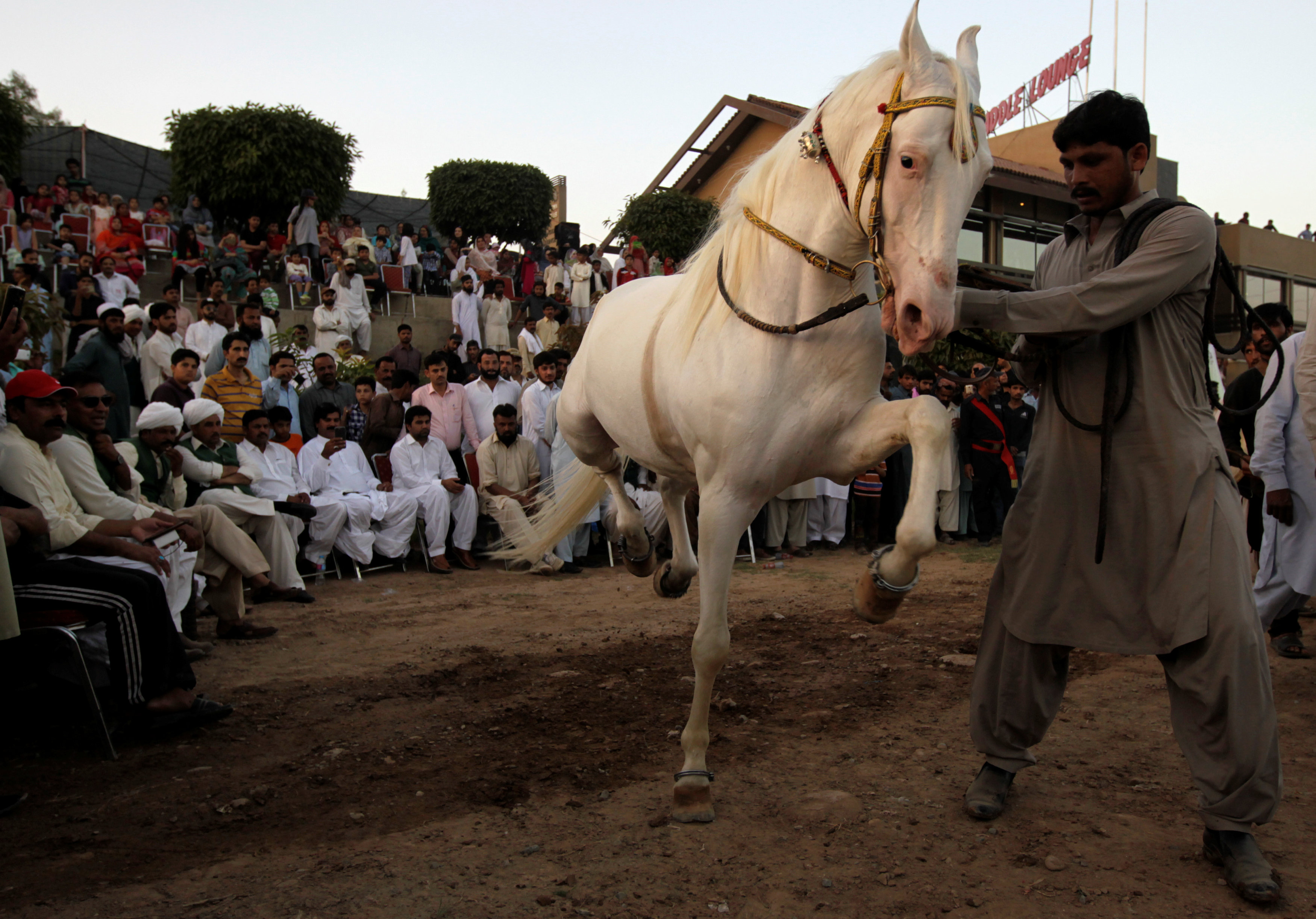 Spectators watch a dancing horse perform at a show in Bharia Town, Pakistan. PHOTO: REUTERS