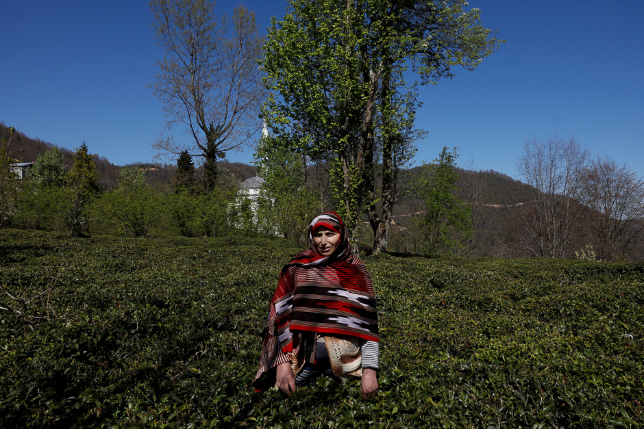 Cleaner and farmer Fatma Peker, 58, says she will vote 'Yes' in the referendum. She poses in her tea field in Surmene a town in Trabzon Province, Turkey. PHOTO: REUTERS