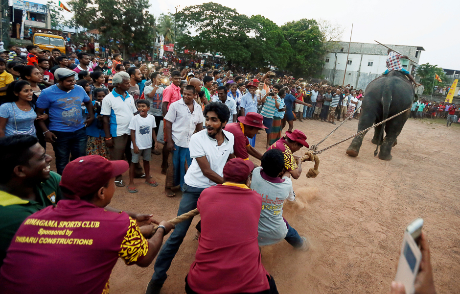 Men participate in a tug-of-war challenge with an elephant during the traditional festival games to celebrate the Sinhala, Hindu and Tamil New Year in Colombo, Sri Lanka. PHOTO: REUTERS