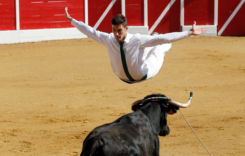 A competitor jumps over a cow during a Course landaise (cow race) in the Landes region in Aignan, France. PHOTO: REUTERS