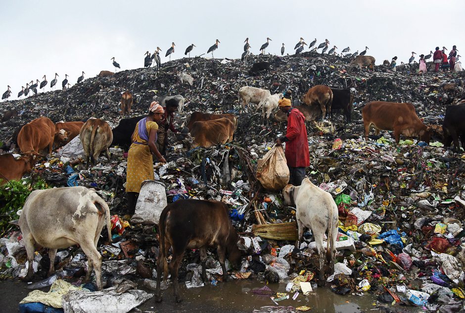 Scavengers collect recyclable materials at a garbage dump site on the occasion of Earth Day, in Guwahati, India. PHOTO: REUTERS