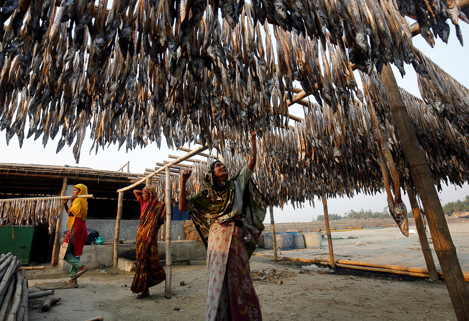 Bangladeshi women work in a dry fish-processing yard in Cox's Bazar, Bangladesh. PHOTO: REUTERS