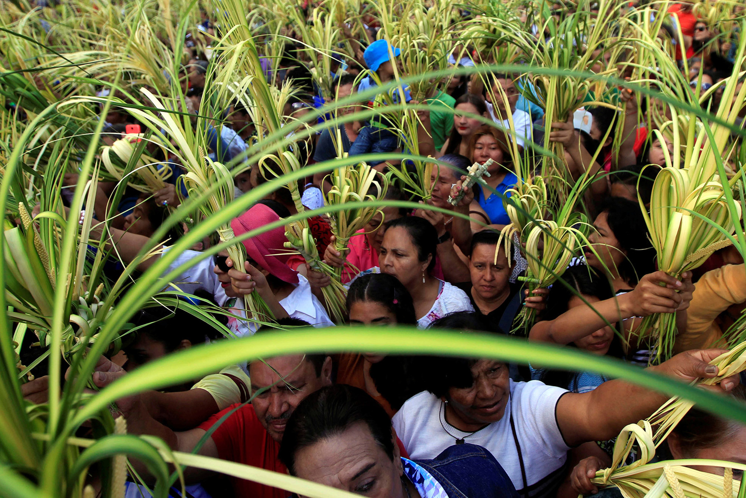 Catholics take part in a procession during a Palm Sunday celebration in Tegucigalpa, Honduras. PHOTO: REUTERS 