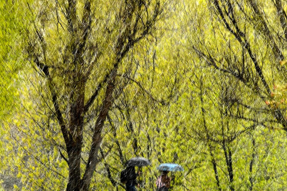 A couple walks with umbrellas at a park as it snows in Moscow. PHOTO: AFP