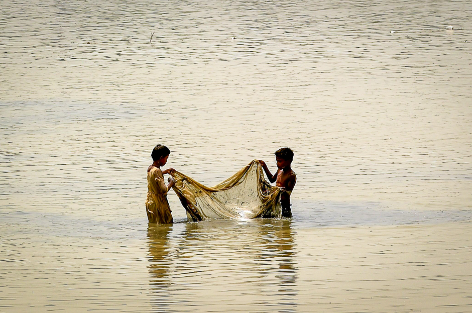 Indian fishermen use nets to tray to catch fish at a lake in New Delhi. PHOTO: AFP