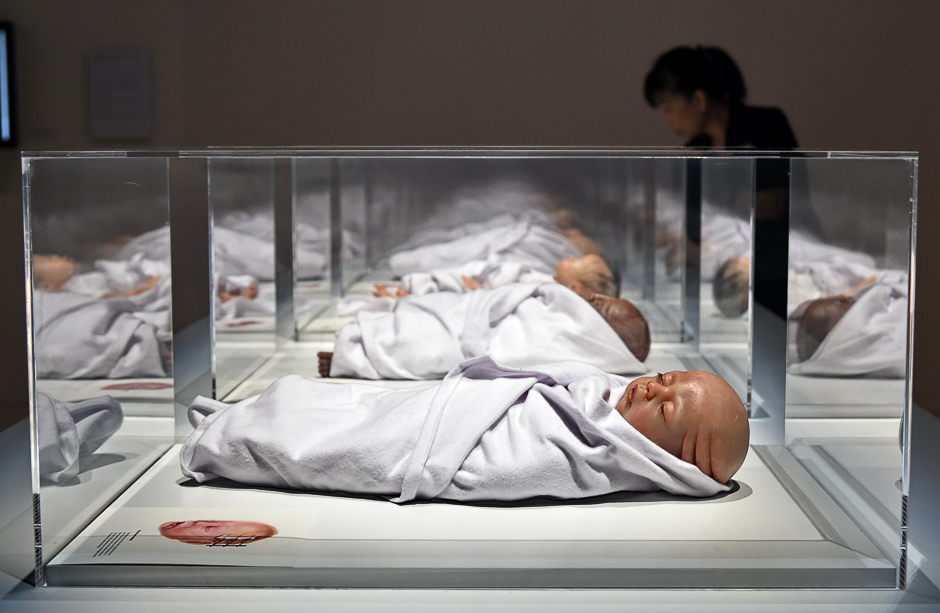 An art installation by Agatha Haines titled Transfiguration are displayed at the Art Science museum in Singapore. PHOTO: AFP