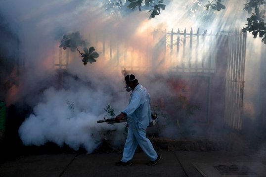 case specific fumigation is in the domain of the programme while general fumigation is the responsibility of the municipal corporations photo reuters