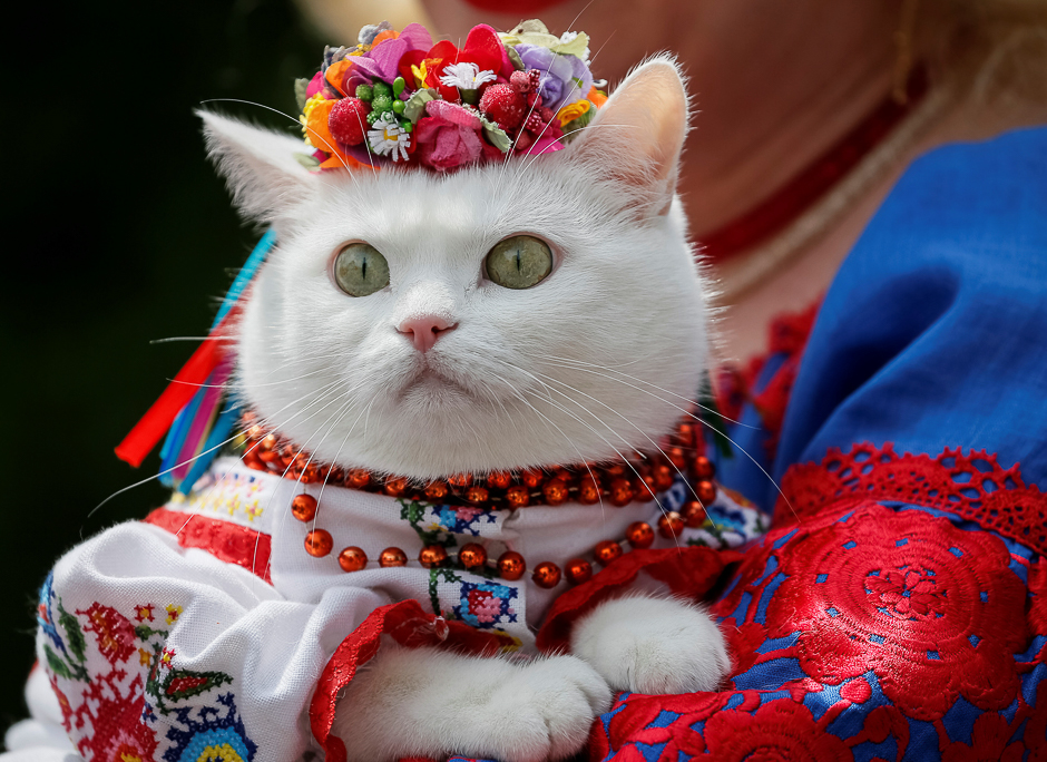 A woman dressed in a traditional Ukrainian embroidered shirt holds her cat as she take part in an embroidered shirt parade in central Kiev, Ukraine. PHOTO: REUTERS