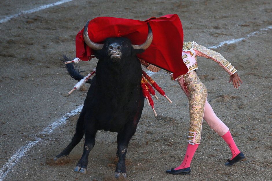 Spanish bullfighter Curro Diaz performs a pass to a bull during San Isidro's bullfighting fair at Madrid's Las Ventas bullring, Spain. PHOTO: REUTERS
