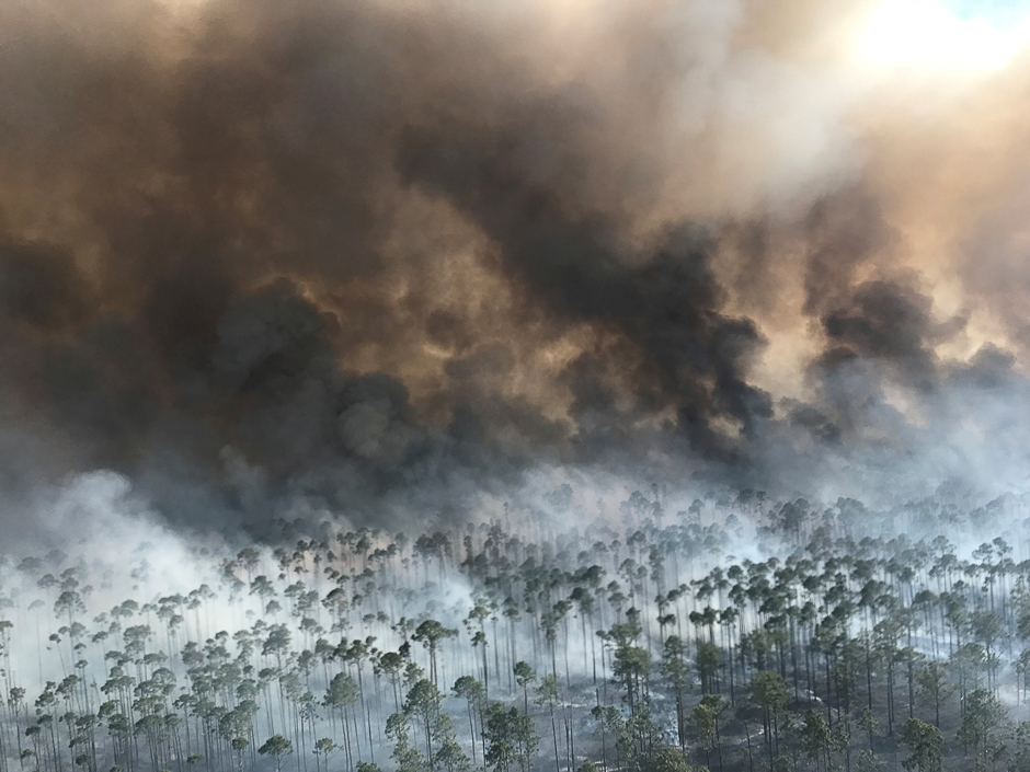 The West Mims fire burns in the Okefenokee National Wildlife Refuge, Georgia, US. PHOTO: REUTERS