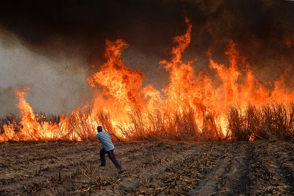 Workers set fire to a sugar cane field to burn away the leafy parts, a technique used before the cane is cut and harvested, in Atencingo, Puebla state, southern Mexico. PHOTO: AFP