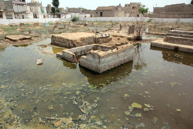 Sacchal Graveyard is located between Bilawal Goth and Sacchal Goth. The state of the graveyard is such that no resident of the area dares to enter it - the land has turned into a swamp. PHOTO: ATHAR KHAN