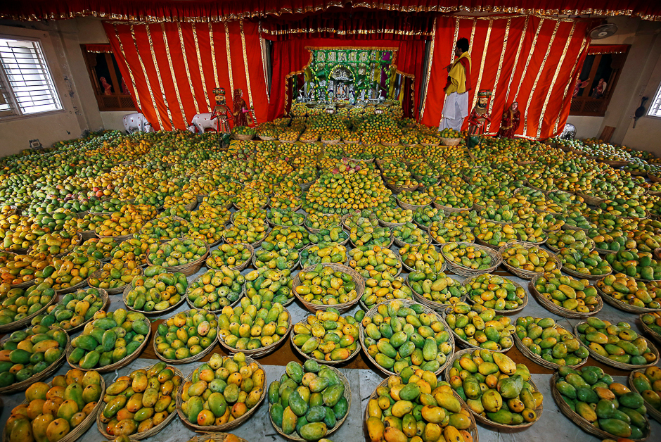 A priest stands next to mangoes offered by devotees to Hindu God Krishna during a mango festival at a temple in Ahmedabad, India. PHOTO: REUTERS