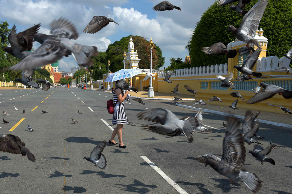 A woman walks past pigeons in front of the Royal Palace in Phnom Penh. PHOTO: REUTERS