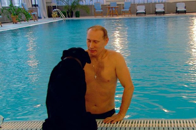 on a whole putin 039 s morning is characterised by solitude after reviewing a film of putin 039 s routine myers writes quot his closest companion seemed to be his black labrador koni who waited poolside as he completed his laps quot photo anorak
