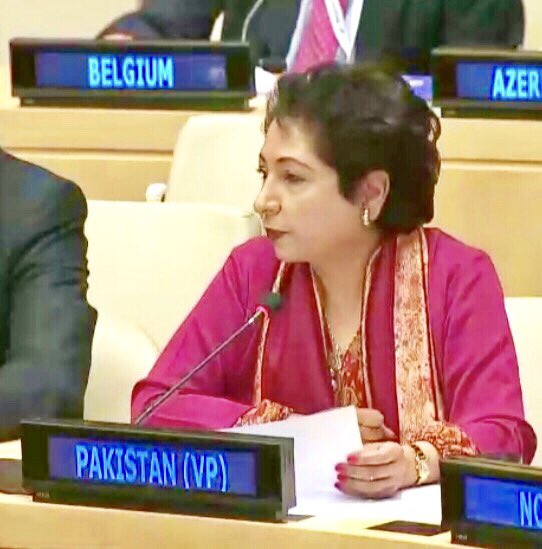 pakistan 039 s pemanent ambassador to the united nations maleeha lodhi photo courtesy twitter lodhimaleeha