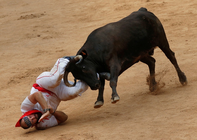 a reveller is tossed by a wild cow following the third running of the bulls at the san fermin festival in pamplona spain july 9 2017 photo reuters