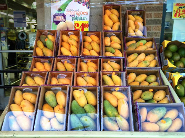 mangoes photo us consulate general karachi