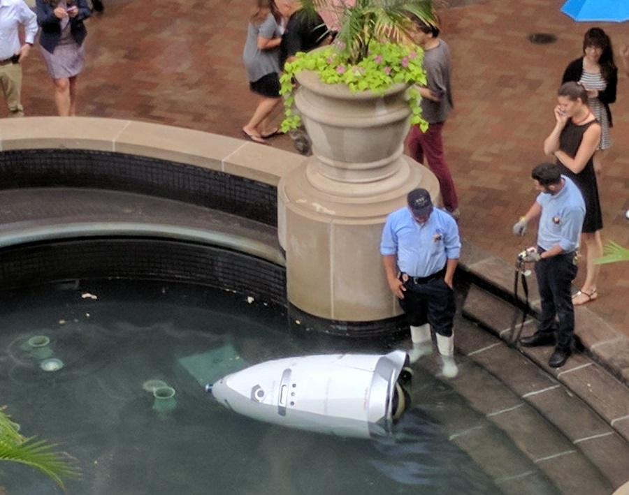 k5 robot was assigned patrol duty at georgetown waterfront photo bilal farooqui