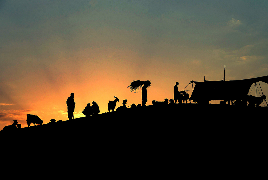 Afghan men shop for livestock at a market ahead of the Eid al-Adha Muslim holiday, on the outskirts of Jalalabad. PHOTO: AFP