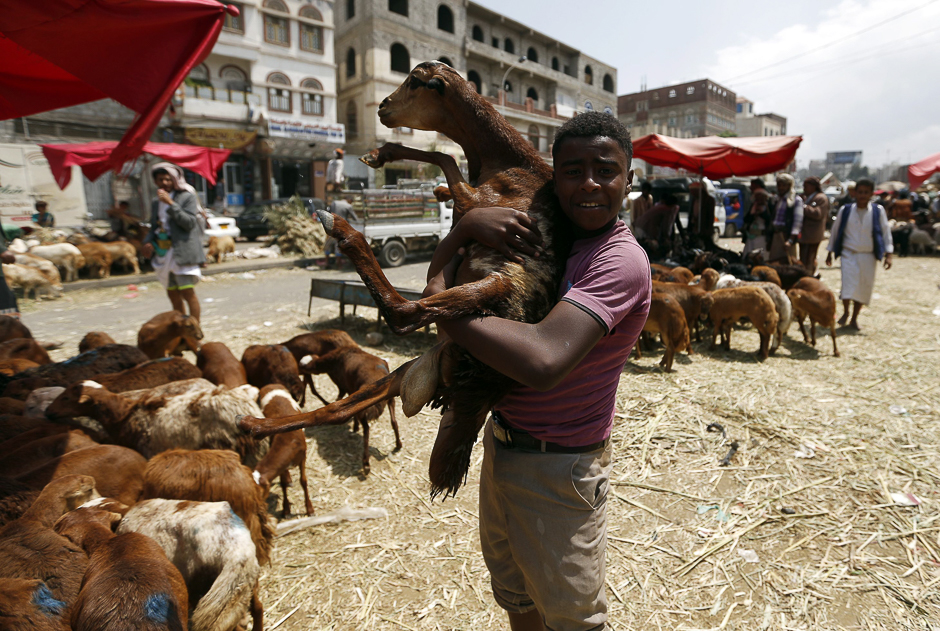 A Yemeni man holds a goat at a livestock market in the capital Sanaa on August 28, 2017, in preparation for the Eid al-Adha celebrations. PHOTO: AFP