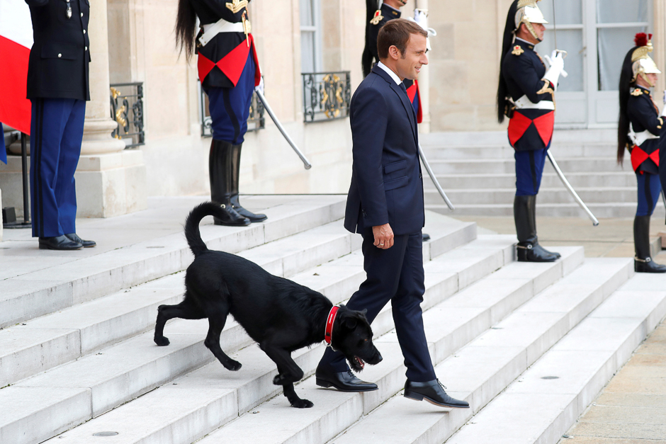French President Emmanuel Macron and his dog, a labrador crossed griffon named Nemo, leave at the Elysee Palace to greet a guest in Paris, France. PHOTO: REUTERS