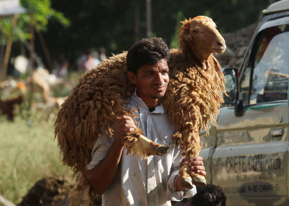 A man carries a sheep for sale at a livestock market ahead of the Eidul Azha in Islamabad, Pakistan. PHOTO: REUTERS
