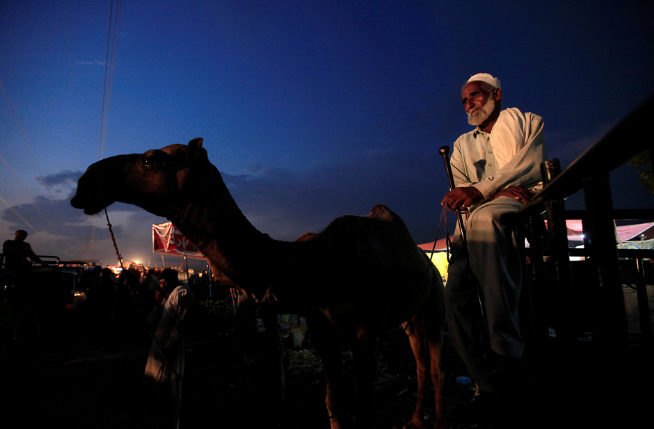 Eidul Azha A trader waits to sell camels to customers at a livestock market ahead of the Eidul Azha in Islamabad, Pakistan. Pakistan. PHOTO: REUTERS