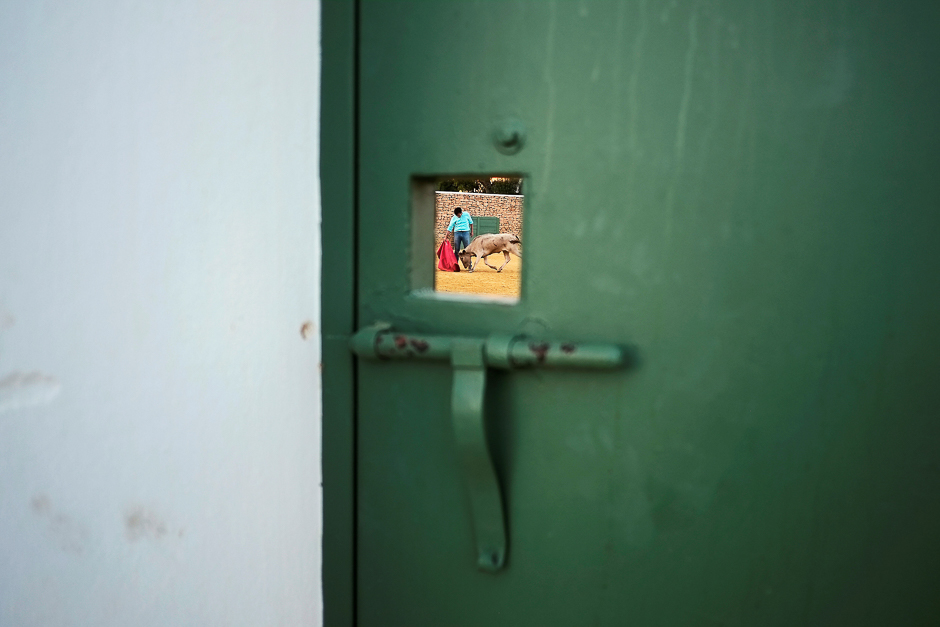 Spanish bullfighter Juan Mora is seen through a small window of a door as he performs a pass to a heifer during a 