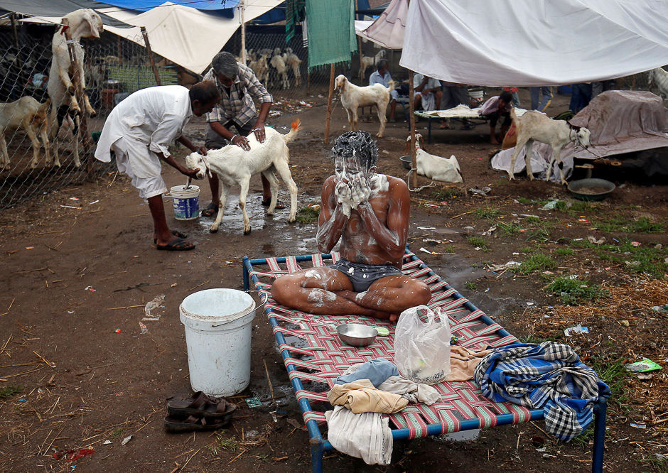 A trader bathes on a cot as a goat is washed at a livestock market ahead of the Eidul Azha festival in Ahmedabad, India. PHOTO: REUTERS