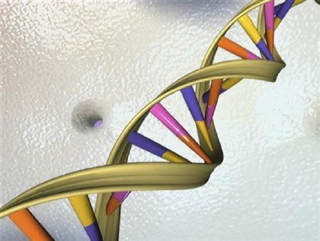 A DNA double helix is seen in an undated artist's illustration. PHOTO: REUTERS