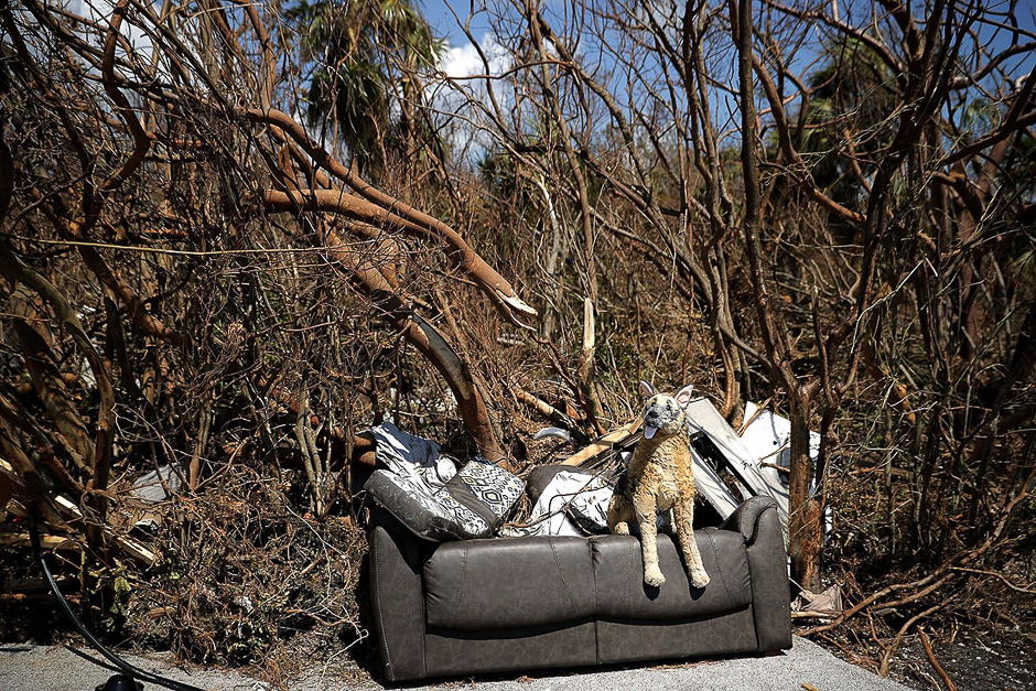 A plush dog sits on a sofa that was blown across Highway 1 by Hurricane Irma near Big Pine Key Fishing Lodge and RV park in Big Pine Key, Florida. PHOTO: AFP