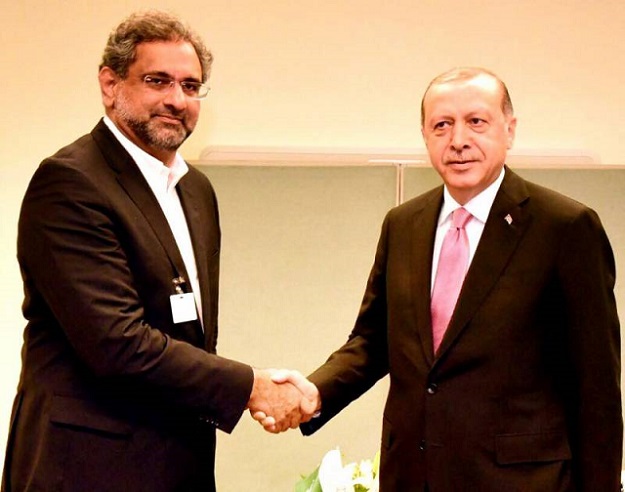 PM Abbasi with Turkish President Erdogan PHOTO: RADIOPAK