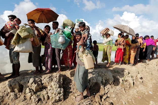 Rohingya refugees, who arrived from Myanmar last night, walk in a rice field after crossing the border in Palang Khali, Bangladesh October 9, 2017. PHOTO: REUTERS