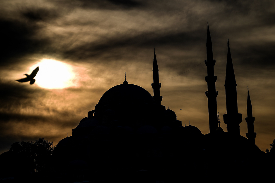 A seagull flies over Eminonu district as the Suleymaniye mosque is seen in the background. PHOTO: AFP