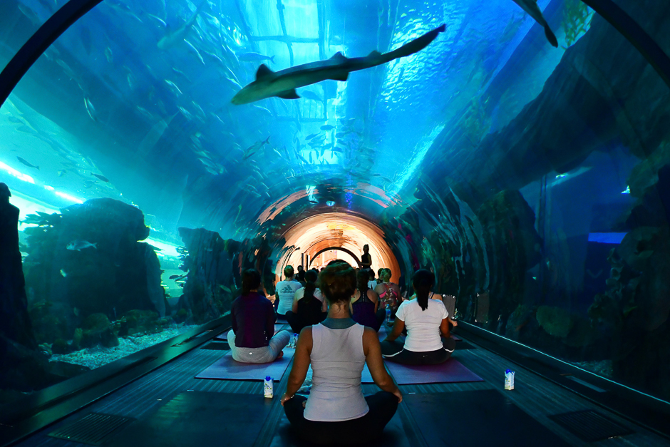 People practise yoga at the aquarium of Dubai Mall in the United Arab Emirate. PHOTO: AFP