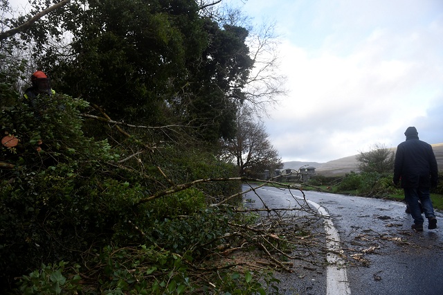 a man walks past a worker clearing fallen trees off a road during storm ophelia in the county clare area of the burren ireland on october 16 2017 source reuters