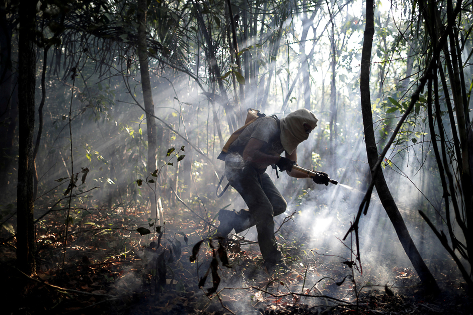 A volunteer works to put out a forest fire in an area of Chapada dos Veadeiros National Park, in Alto Paraiso, Goias, Brazil. PHOTO: REUTERS