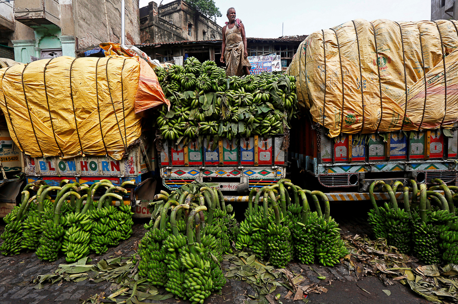 A worker unloads raw bananas, which will be used as offerings during prayers ahead of the Hindu religious festival of Chhath Puja, from a truck at a wholesale market in Kolkata, India. PHOTO: REUTERS