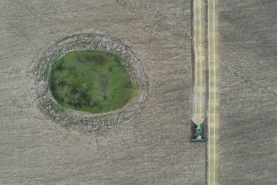 An aerial view shows a combine harvesting wheat in a field of the Iskra farm outside the Siberian village of Kulun, the Uzhursky district of Krasnoyarsk region, Russia. PHOTO: REUTERS