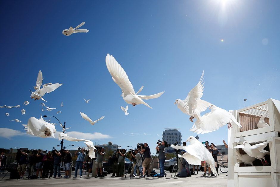 Doves are released for each victim of the Route 91 Harvest music festival mass shooting at City Hall plaza in Las Vegas, Nevada, US. PHOTO: REUTERS