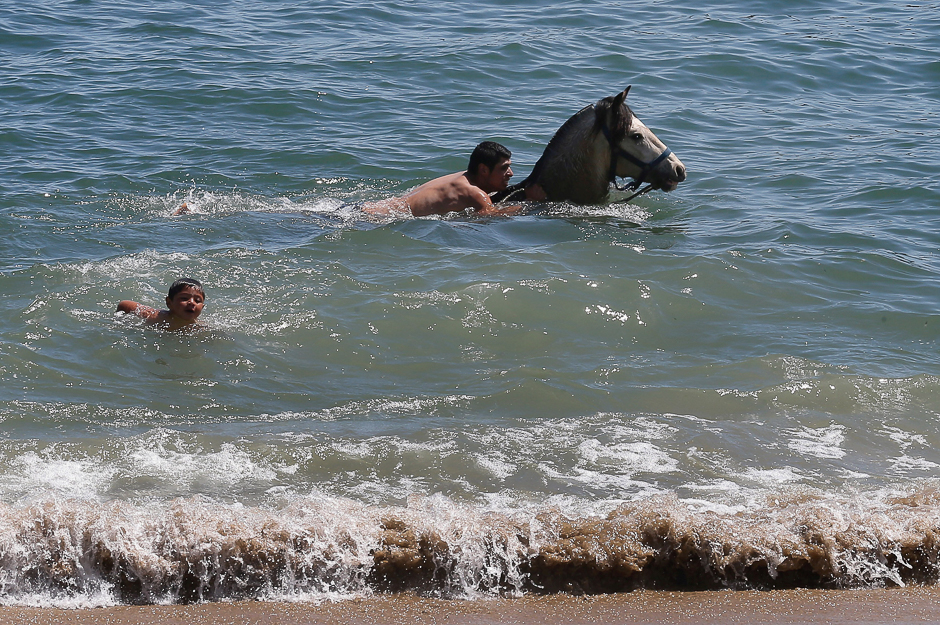 A man swims with his horse on a beach in Valparaiso, Chile. PHOTO: REUTERS