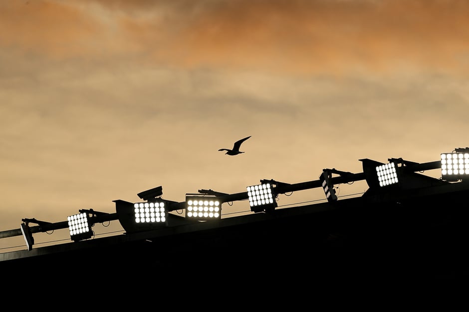 General view of a bird flying over the St Mary's Stadium, Southampton, Britain. PHOTO: REUTERS