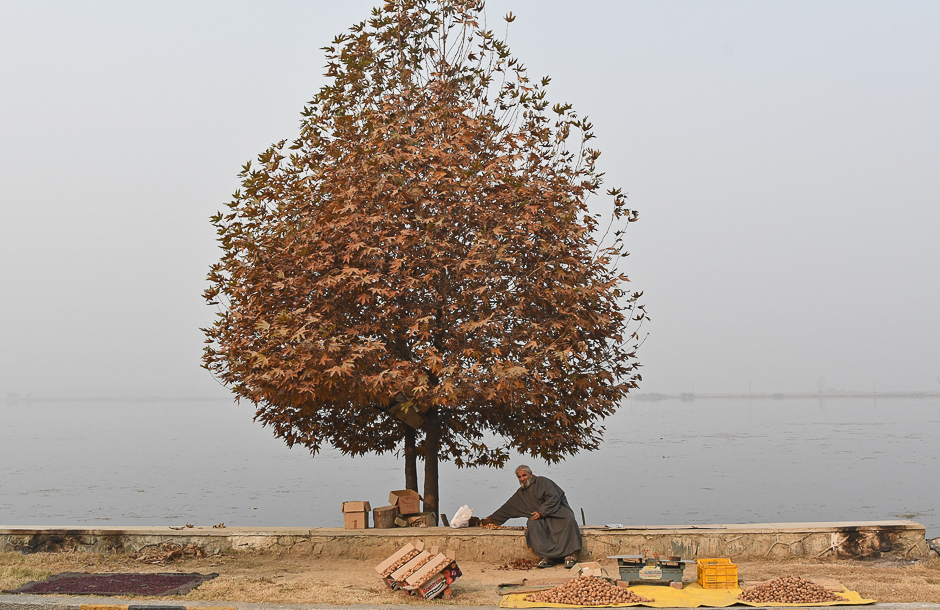 A Kashmiri vendor selling walnuts waits for customers on the banks of Dal Lake in Srinagar. PHOTO: AFP