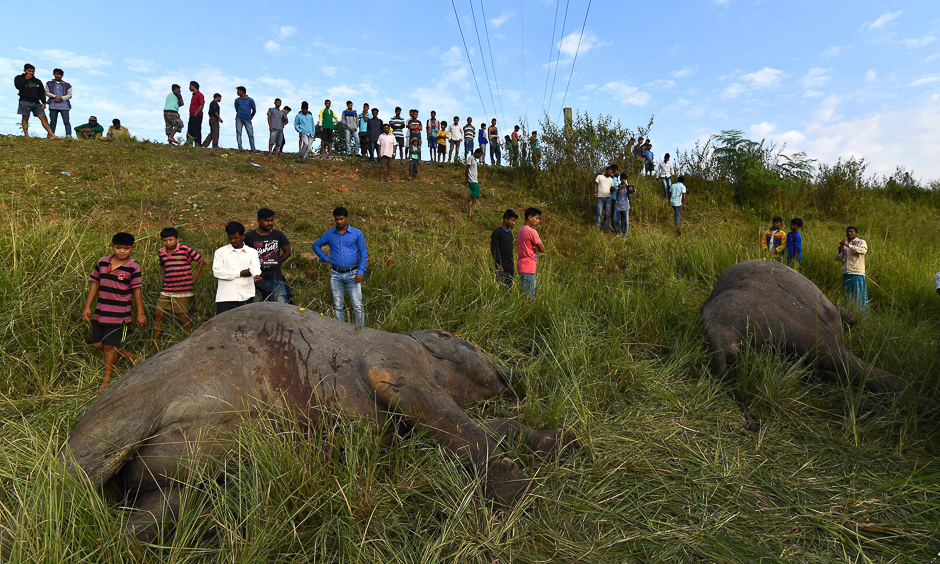 Indian villagers look at the dead body of an elephant near Thakurkhchi Railway Station on the outskirt of Guwahati. PHOTO: AFP