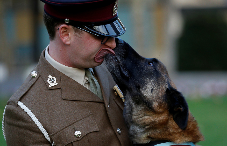 British Military Working Dog Mali poses for a photograph with his handler, Cpl. Daniel Hatley, after receiving the PDSA Dickin Medal for his heroic action in Afghanistan, in London, Britain. PHOTO: REUTERS